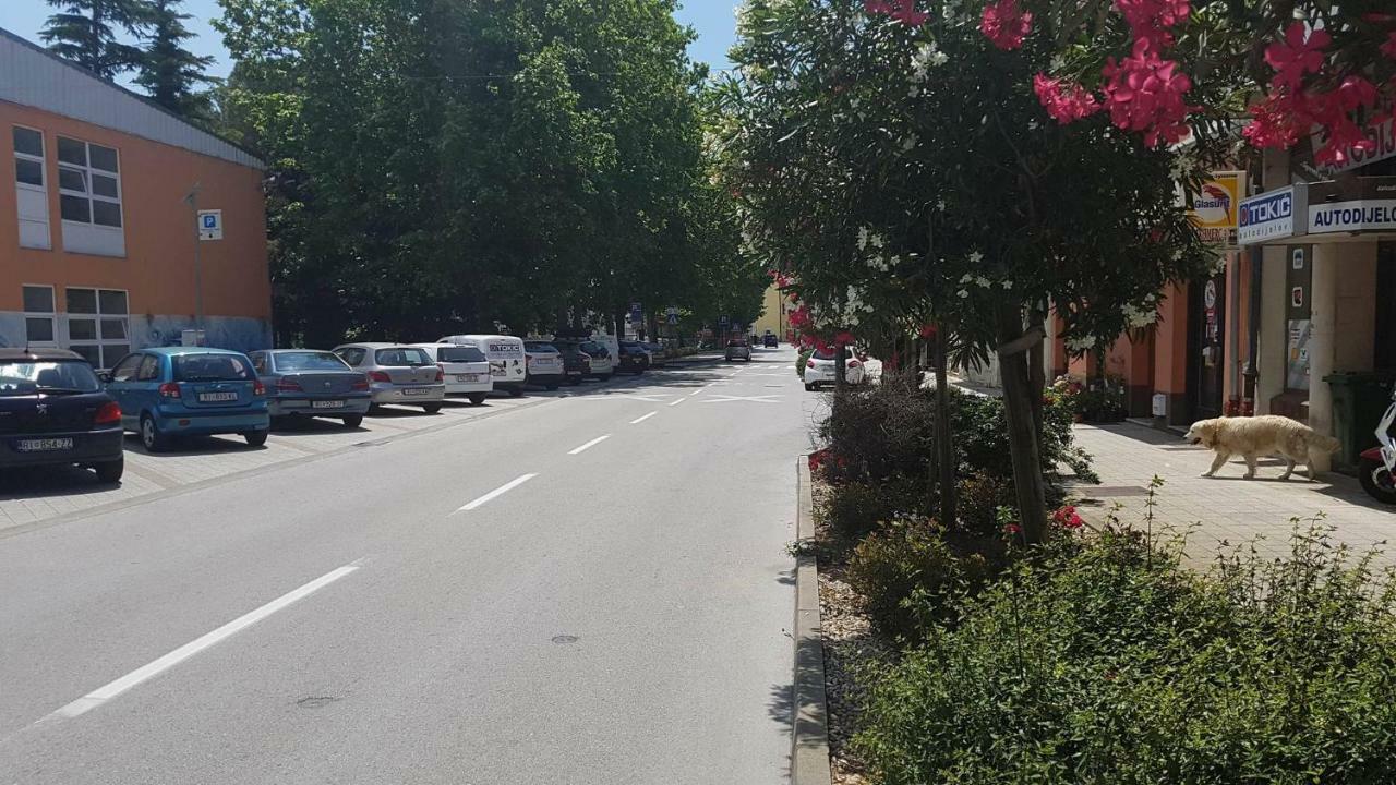 apartmandamir Crikvenica Dış mekan fotoğraf